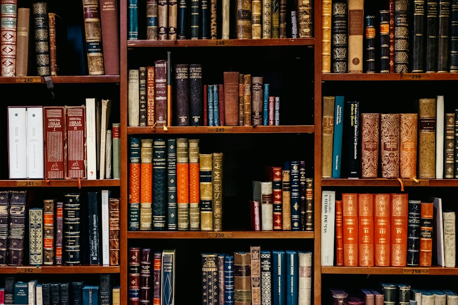 Shelves of books in open library